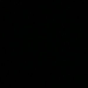 Meet your Posher, Daisy